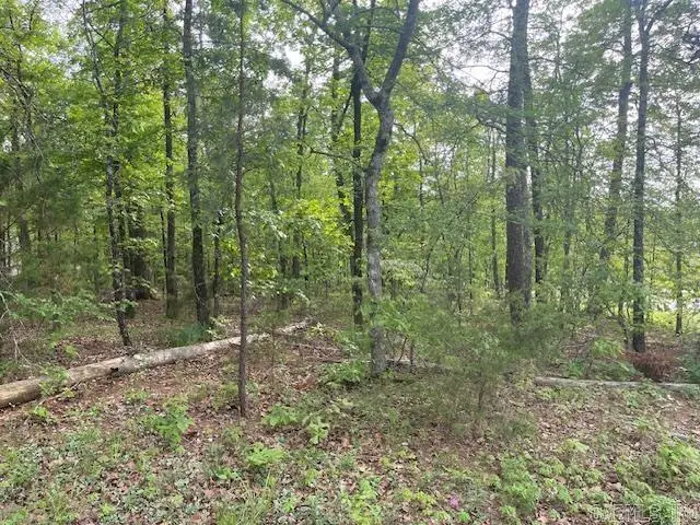 8 Faisan Circle, Hot Springs Village, AR 71909 - #3