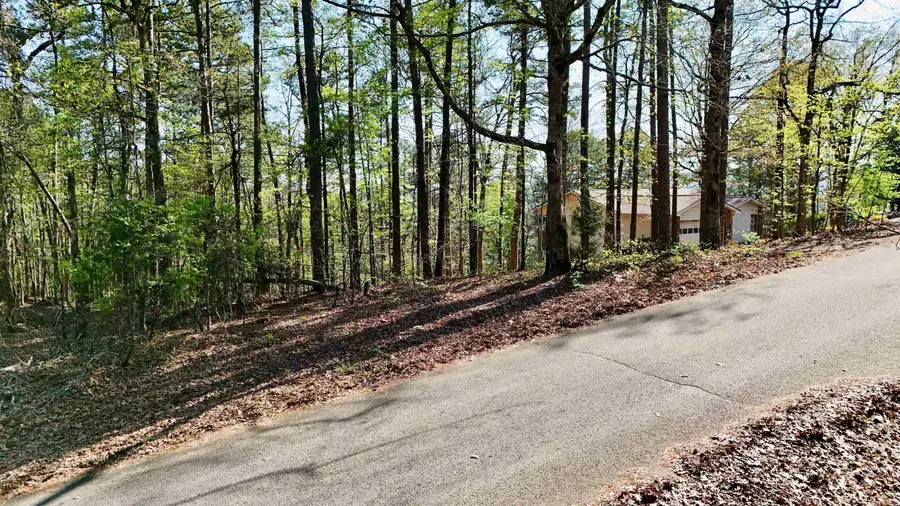 3 Andar Lane, Hot Springs Village, AR 71909 - #2