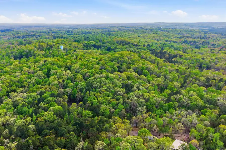 TBD Moss Road, Benton, AR 72019 - #2