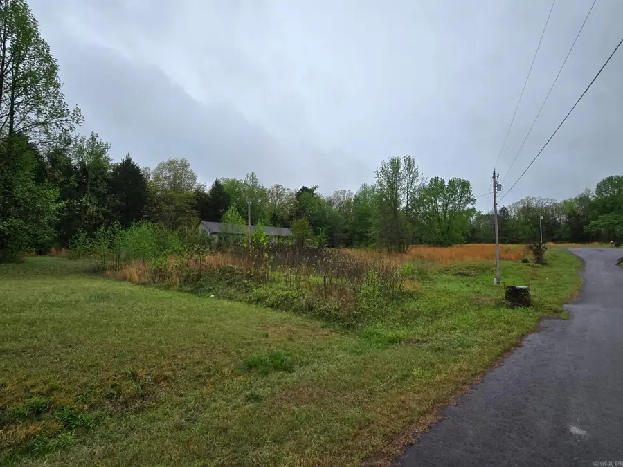 33 W Martin Lane, Greenbrier, AR 72058 - #3