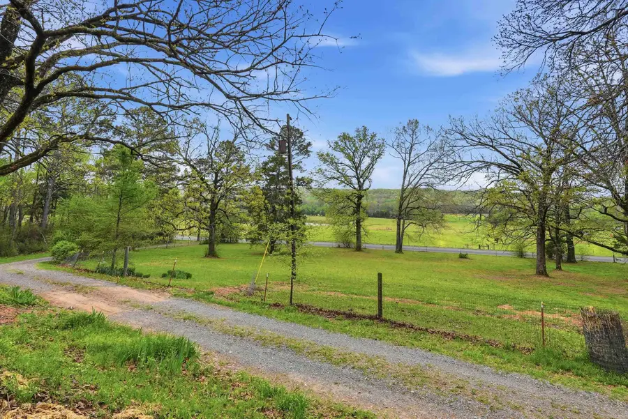 175 Acklin Gap Road, Conway, AR 72032 - #3