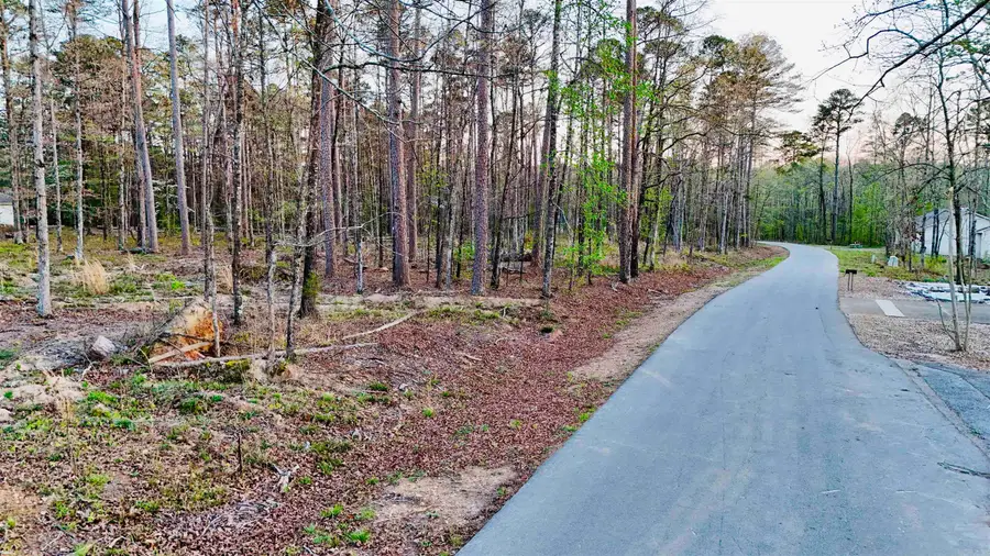00 Cartaya Way, Hot Springs Village, AR 71909 - #3