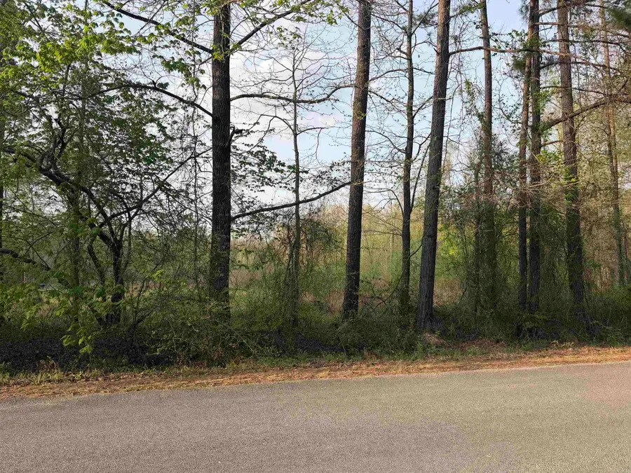 1507 Dixon, Pine Bluff, AR 71602 - #2