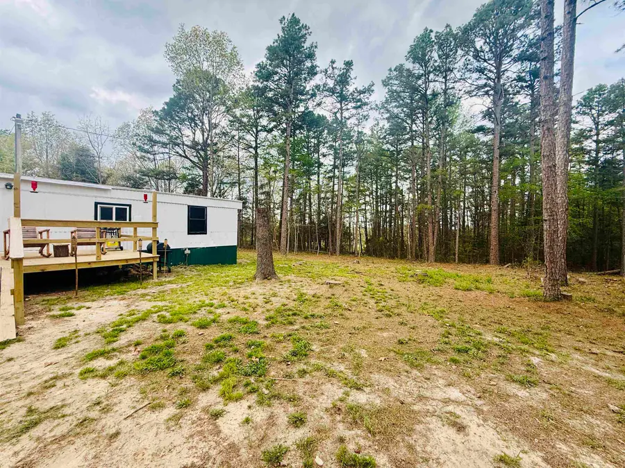 90 Potemdyke Road, Evening Shade, AR 72532 - #3