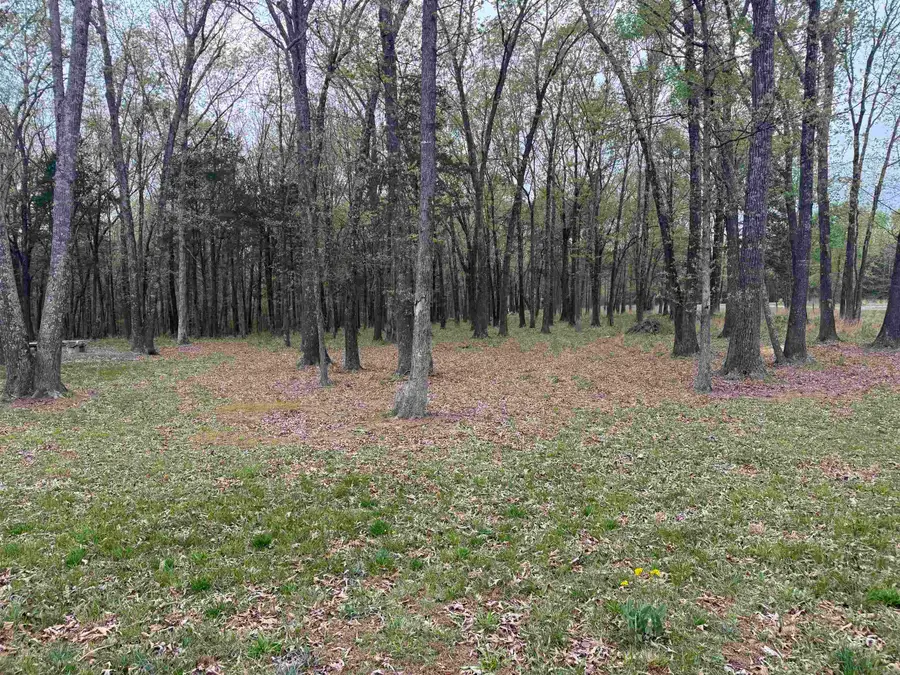 Lot 13 Shiloh Landing Pointe, Greers Ferry, AR 72067 - #3