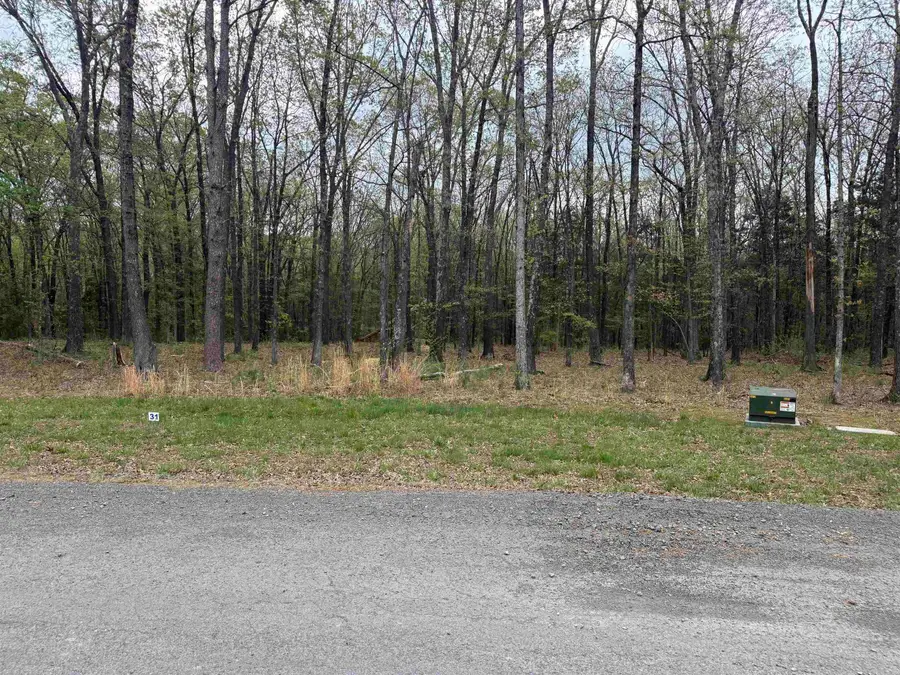 Lot 31 Shiloh Landing Pointe, Greers Ferry, AR 72067 - #3
