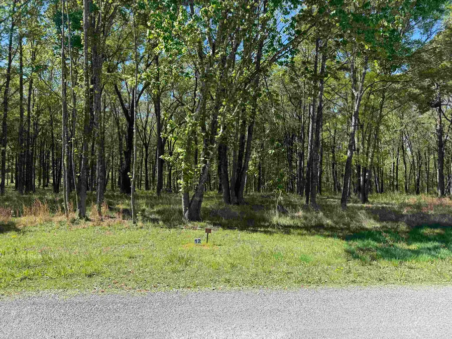 Lot 12 Shiloh Landing Pointe, Greers Ferry, AR 72067 - #3
