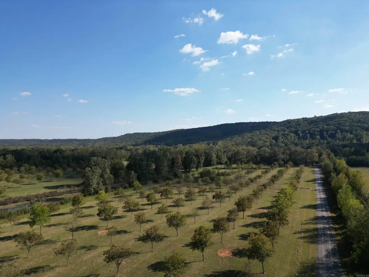 4231 Hwy 337 E Pecan Point Drive, Heber Springs, AR 72543 - #1