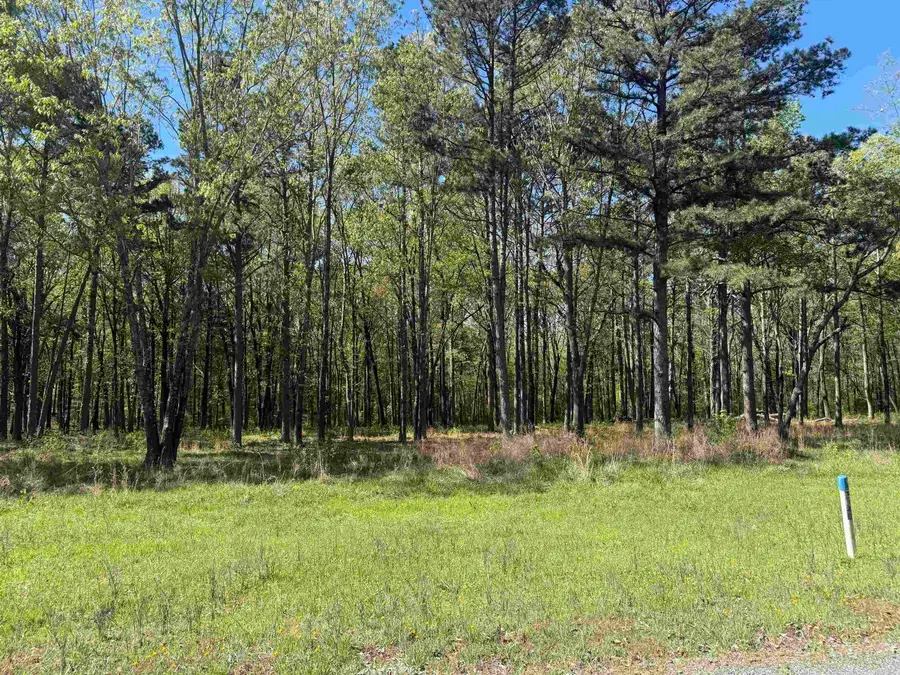 Lot 9 Shiloh Landing Pointe, Greers Ferry, AR 72067 - #3