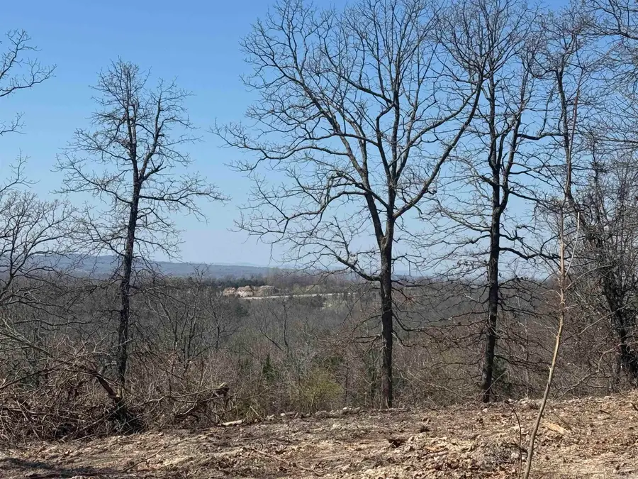 Lots 23 & 24 Oak Summit Drive, Mountain Home, AR 72653 - #3