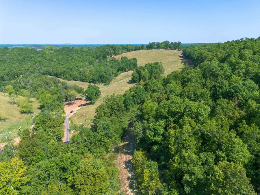 79.50 ac. (+/-) Crochet Road, Marshall, AR 72650 - #3
