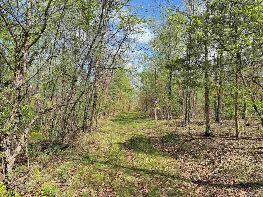 000 Sunnyland Rd., Mountain View, AR 72560 - #2