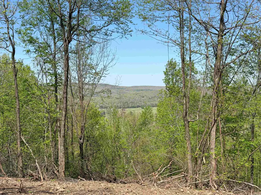 000 Sunnyland Rd., Mountain View, AR 72560 - #3