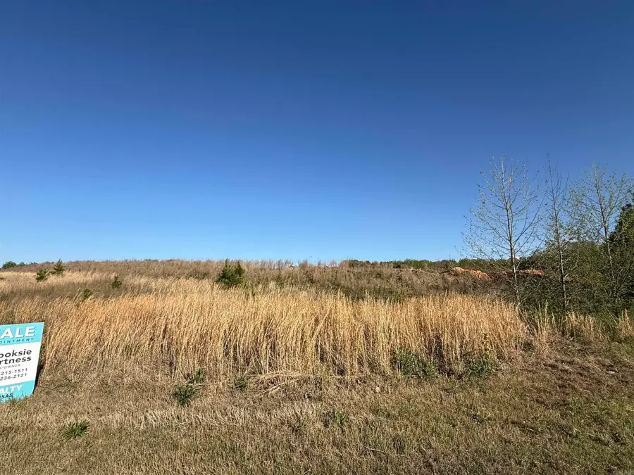 12.98 Ac Chateau Blvd, Paragould, AR 72450 - #3