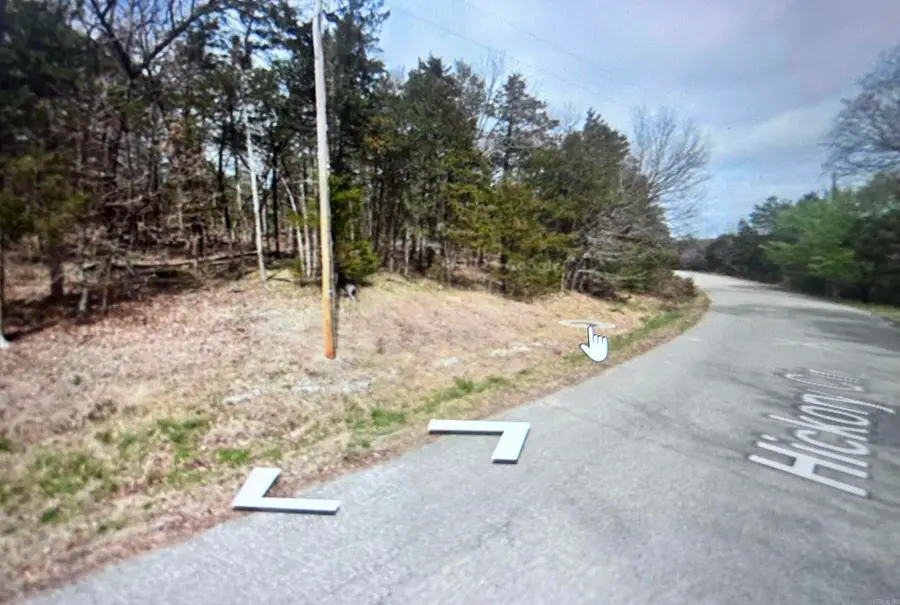 Lot 38 Hickory Lane, Holiday Island, AR 72631 - #3
