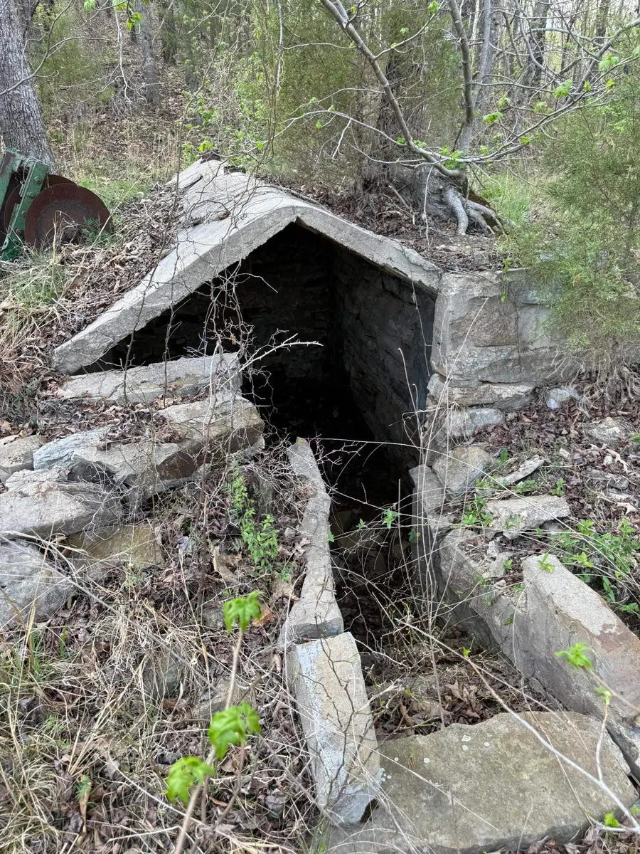 77 Coon Dog Lane, Melbourne, AR 72556 - #3