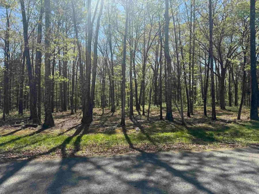 Lot 30 Shiloh Landing Pointe, Greers Ferry, AR 72067 - #3