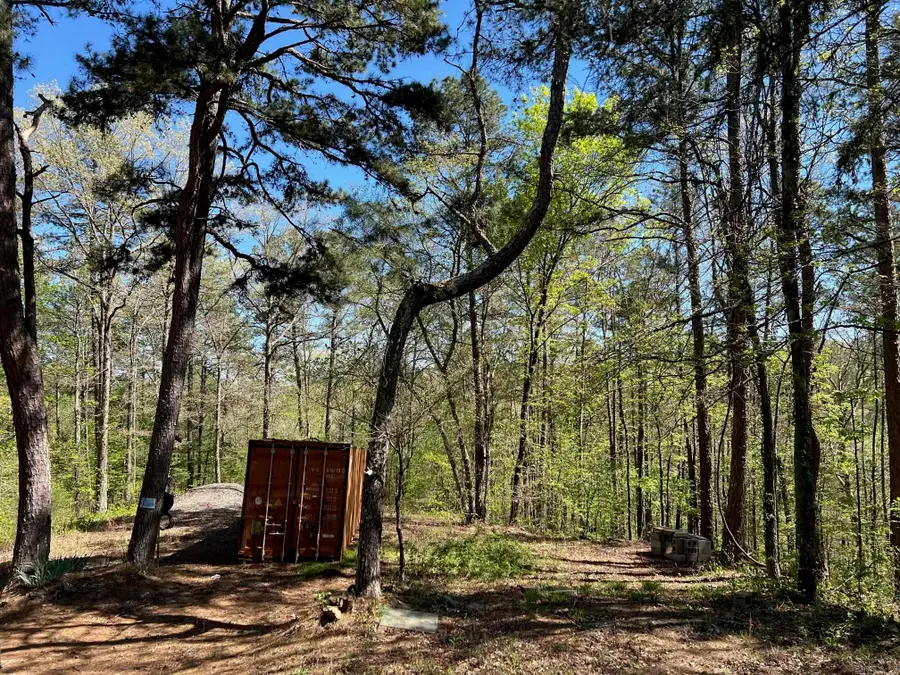 233 White, Clinton, AR 72031 - #3