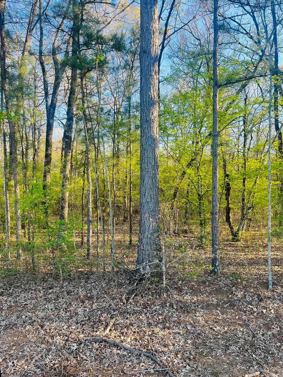 Hoover Lane, Monticello, AR 71655 - #2