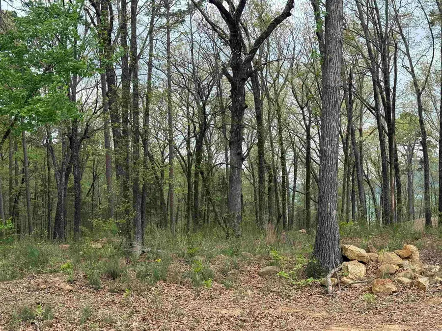 Lot 26 Shiloh Landing Pointe, Greers Ferry, AR 72067 - #3