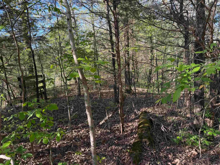 991 Clay 456 Road, Piggott, AR 72454 - #3