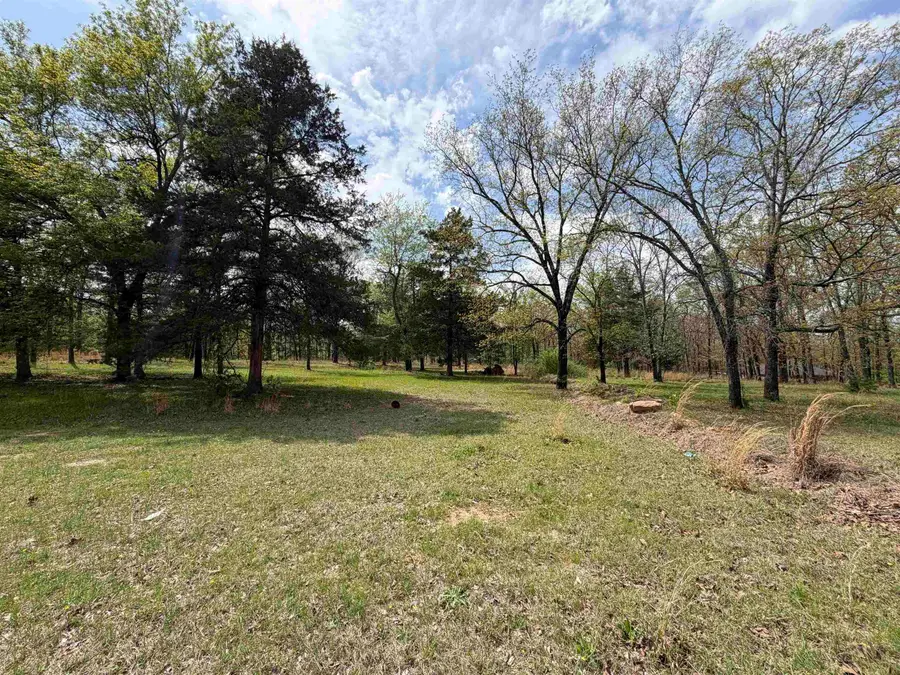 63 Briarwood Street, Greenbrier, AR 72058 - #2