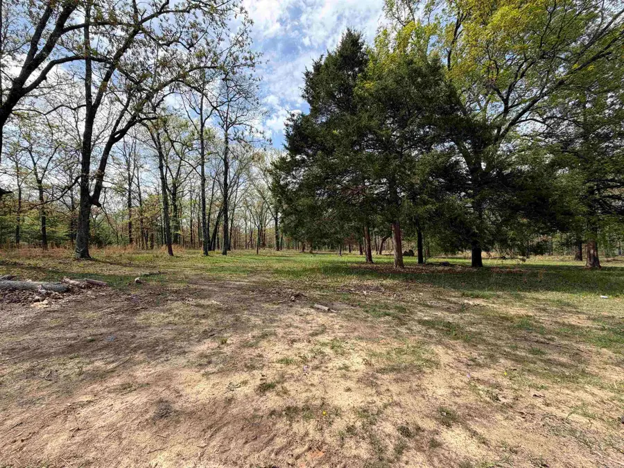 63 Briarwood Street, Greenbrier, AR 72058 - #3