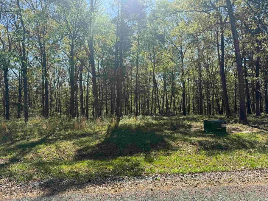 Lot 28 Shiloh Landing Pointe, Greers Ferry, AR 72067 - #3