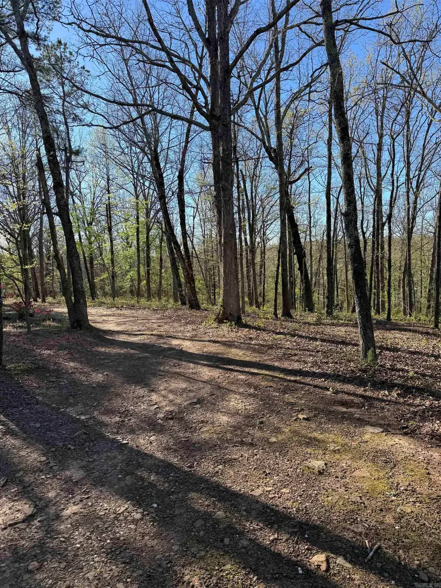 490 Otis Rd, Clinton, AR 72031 - #2