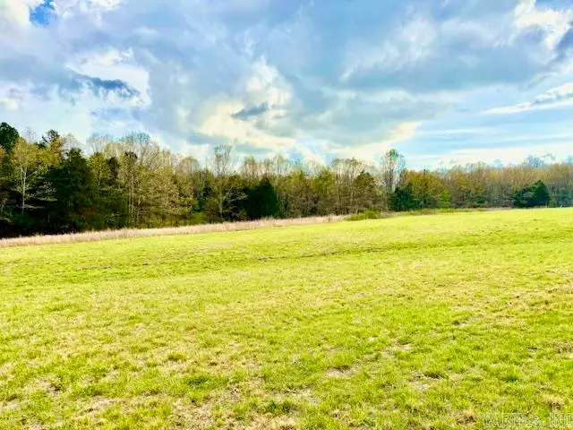 37 Acres Acree Road, Maynard, AR 72444 - #2