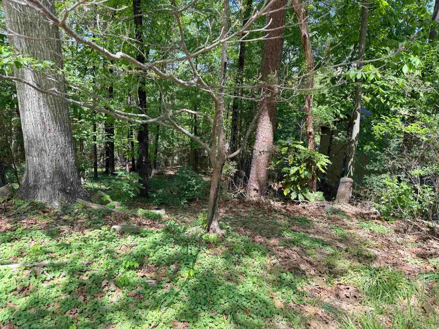000 Foxhunt Trail Lot, Little Rock, AR 72207 - #2