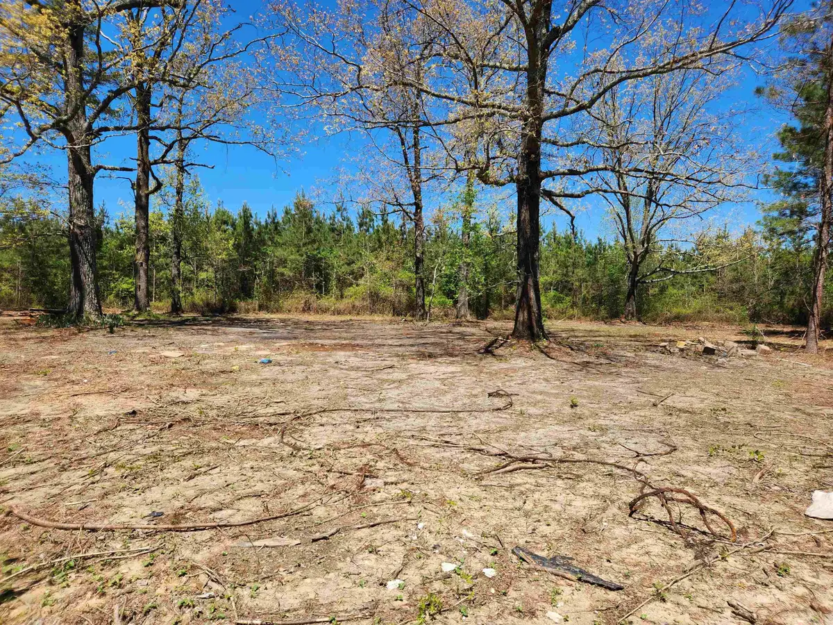 13000 W 54 Highway, Pine Bluff, AR 71603 - #1