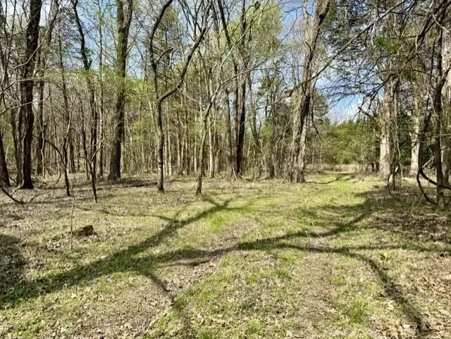 000 Milligan Campground Road, Strawberry, AR 72469 - #1