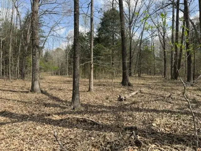 000 Milligan Campground Road, Strawberry, AR 72469 - #2
