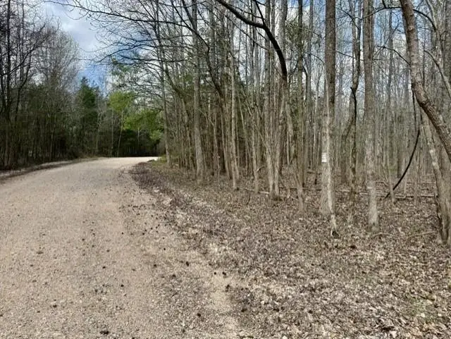 000 Milligan Campground Road, Strawberry, AR 72469 - #3