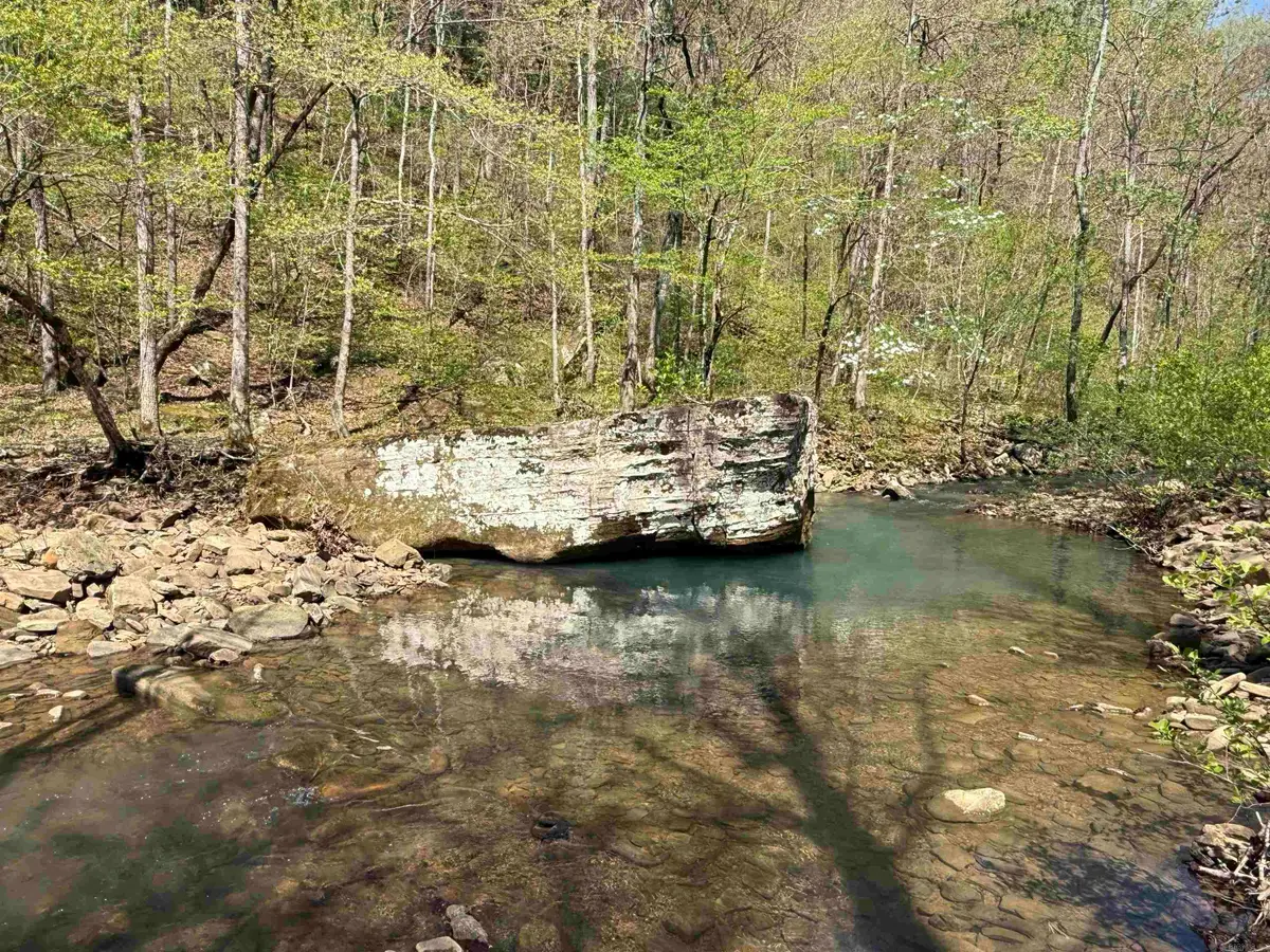 000 Jenkins Road, Clinton, AR 72031 - #1