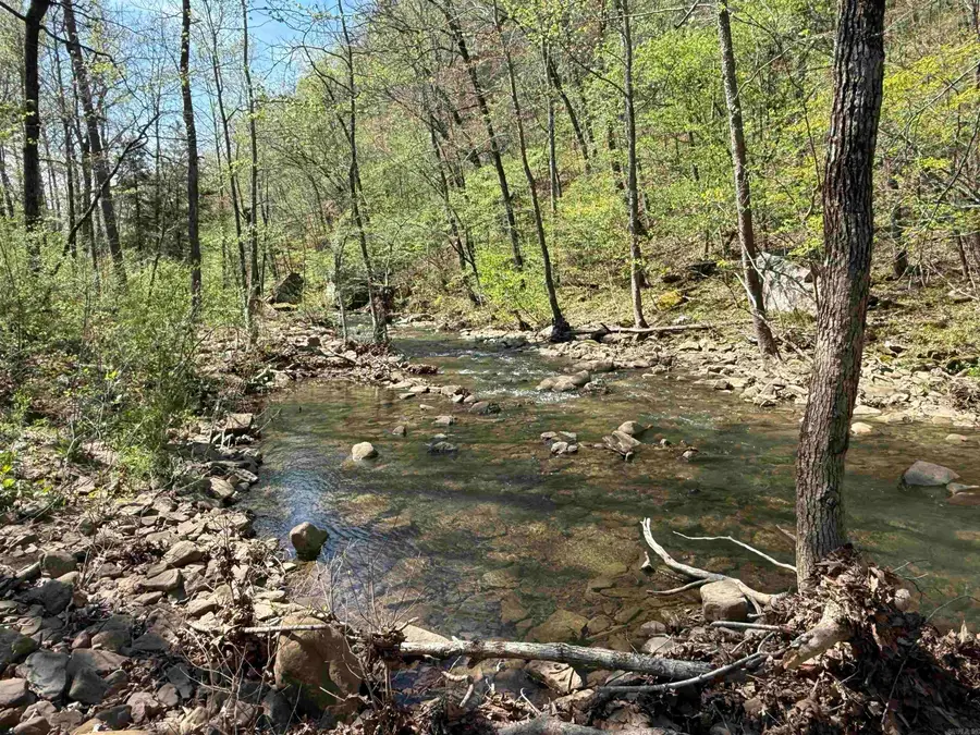 000 Jenkins Road, Clinton, AR 72031 - #2