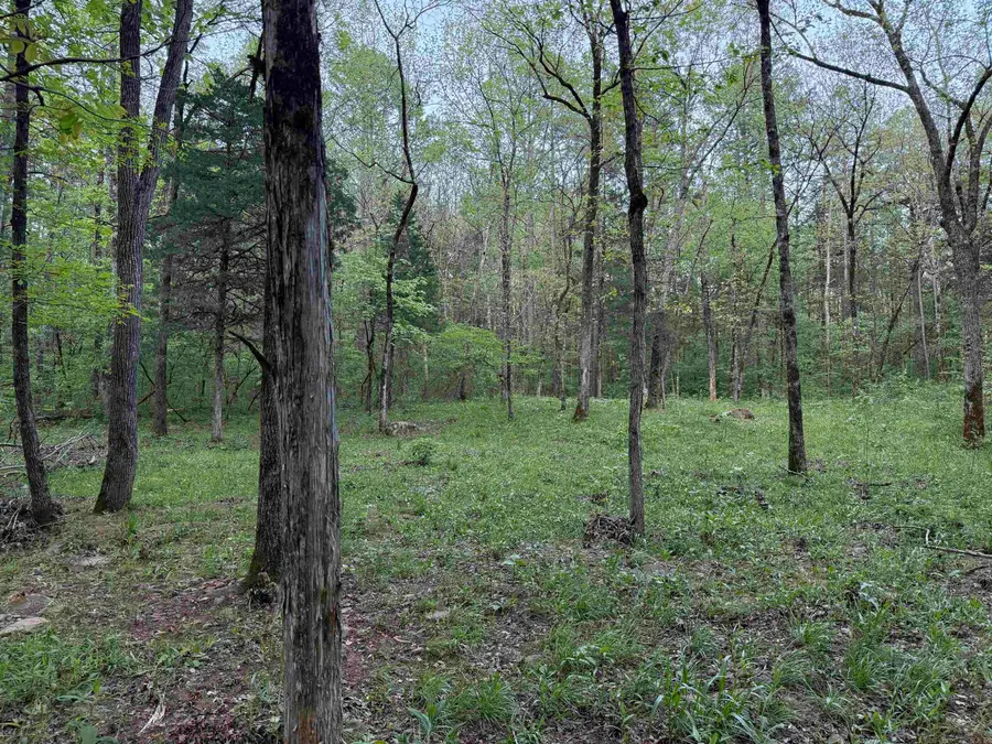 000 Jenkins Road, Clinton, AR 72031 - #3