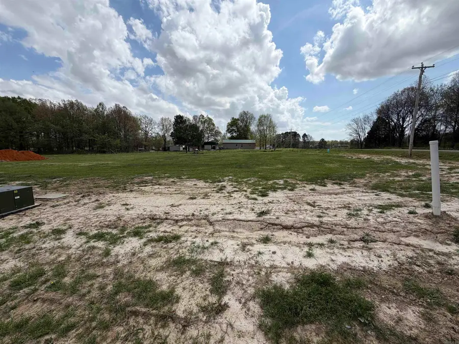 100 Horseshoe Creek Drive, Brookland, AR 72417 - #2