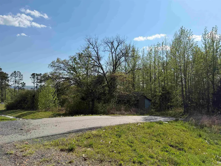 1989 Hwy 65, Clinton, AR 72031 - #2