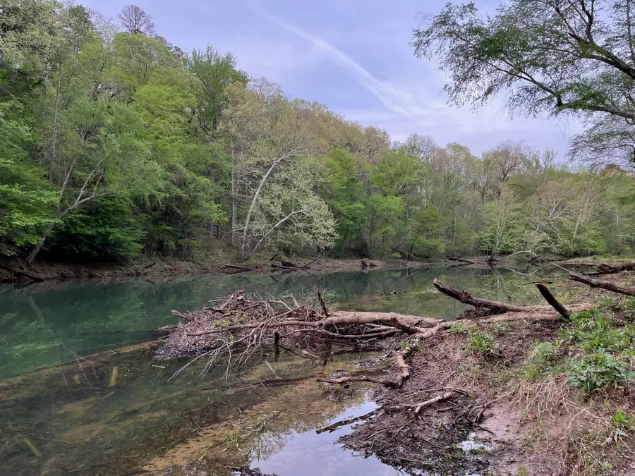 146 N Quail Lane, Murfreesboro, AR 71958 - #2