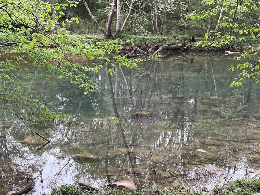 146 N Quail Lane, Murfreesboro, AR 71958 - #3