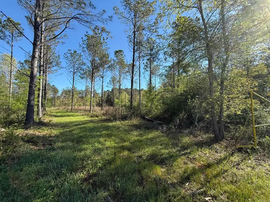 TBD Kadoha Road, Murfreesboro, AR 71958 - #2
