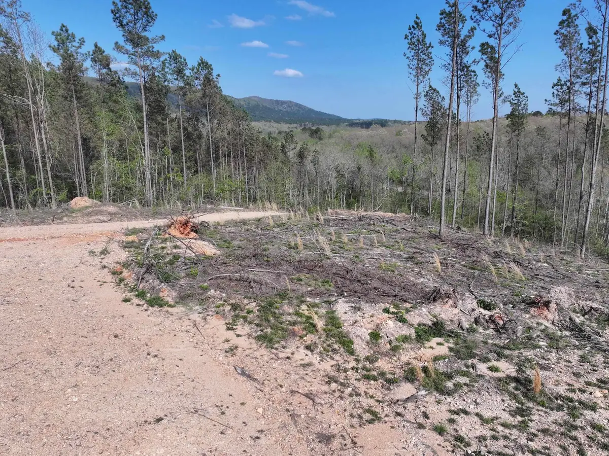 14 Palmer Mountain Rd, Caddo Gap, AR 71935 - #1