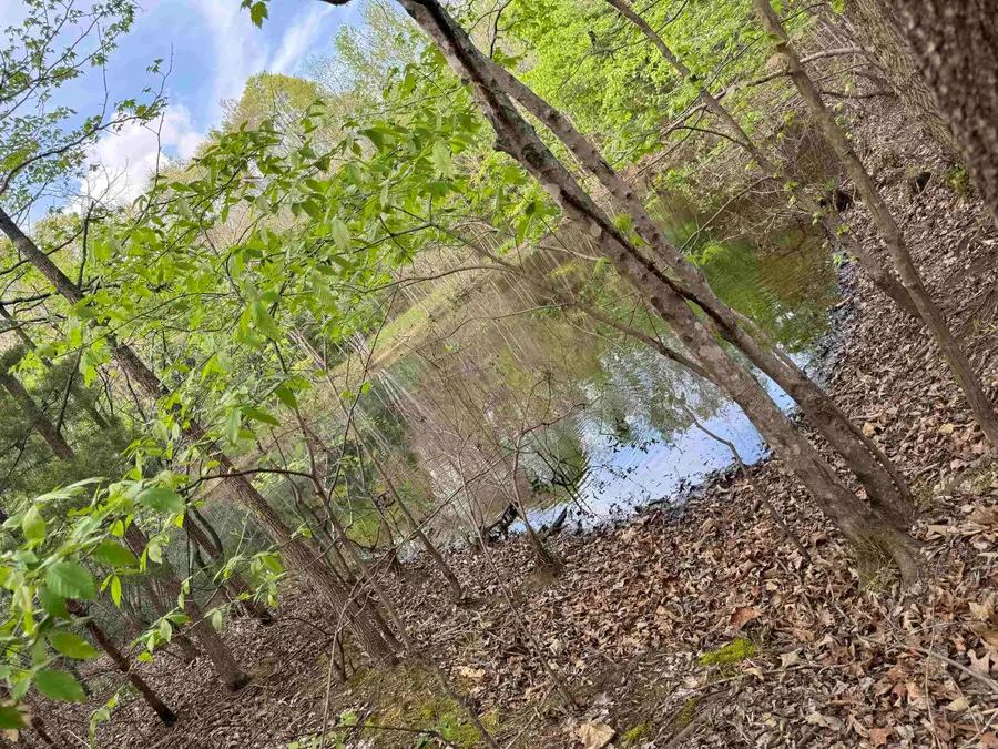 0 Cr 455, Piggott, AR 72454 - #2