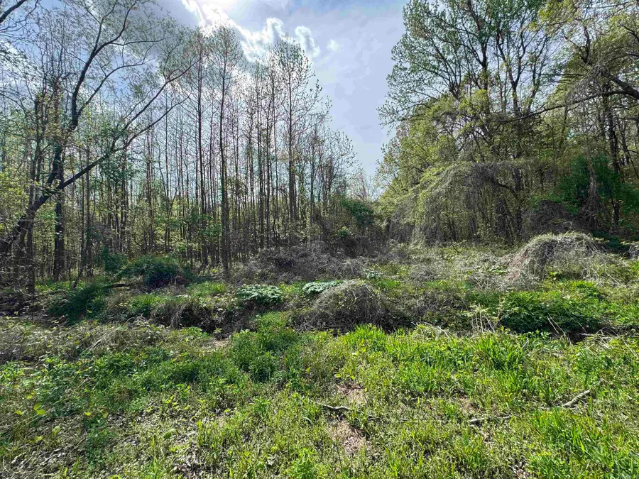 0 Cr 455, Piggott, AR 72454 - #3