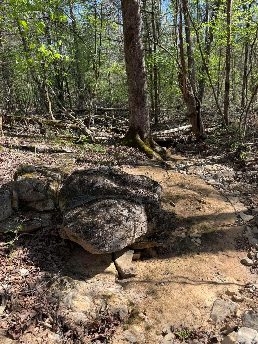 47A County Road 113, Melbourne, AR 72556 - #2