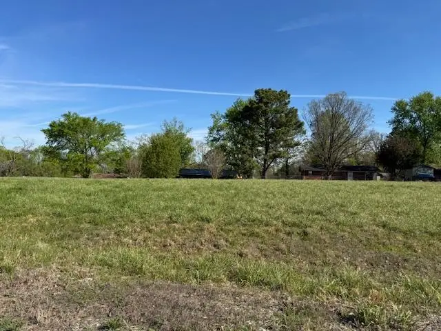 TBD Pinedale Dr, Salem, AR 72576 - #1