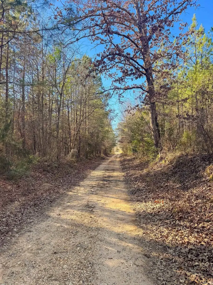 00 Norsworthy Road, Strong, AR 71765 - #2