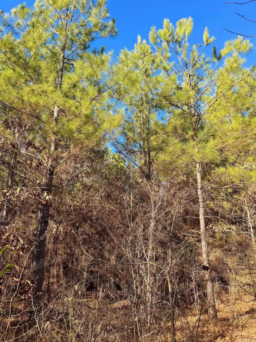 00 Norsworthy Road, Strong, AR 71765 - #3